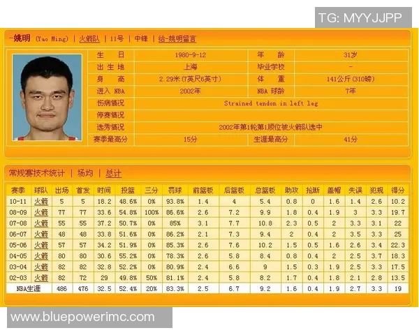 姚明在NBA的WS数据分析与职业生涯成就探讨