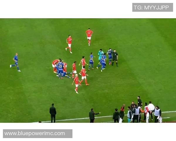 意甲焦点战国米与本菲卡握手言和争议判罚引发全场热议